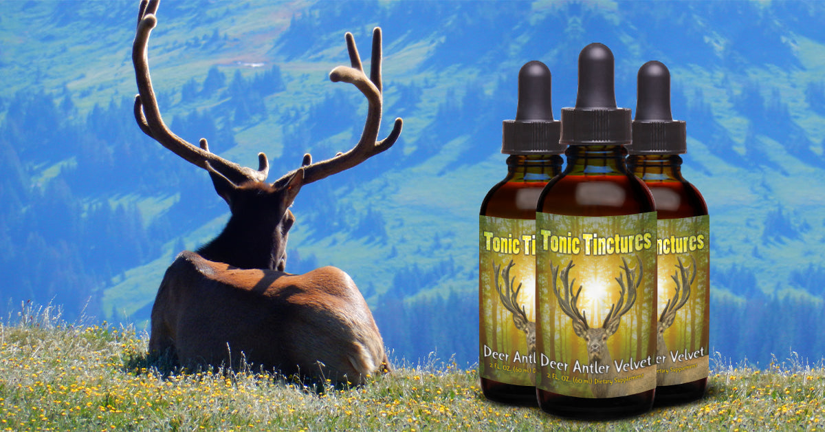 deer antler supplement